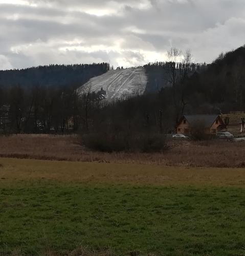 a field with a hill in the middle of a field at Dolina Rosy in Ustrzyki Dolne
