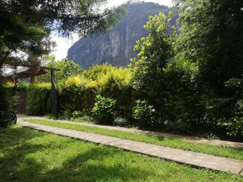 a garden path with a mountain in the background at Cabaña San Vicente in llifen
