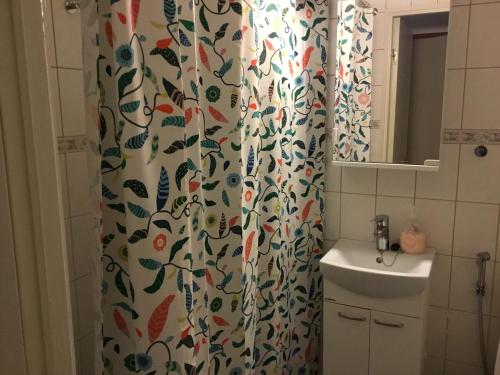 y baño con cortina de ducha y lavamanos. en Pikkukoti Ukki, en Keuruu