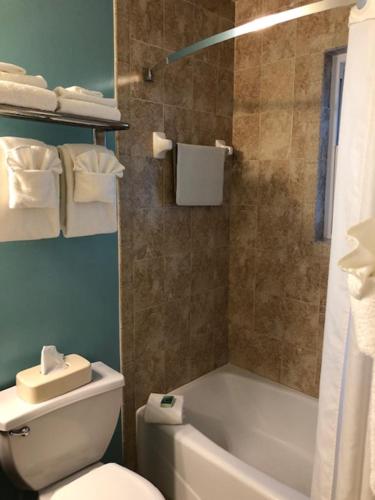 Un baño de Palm Pavilion Inn