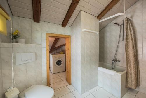 a bathroom with a toilet and a shower and a washing machine at Holiday Apartment Heidi in Brienz