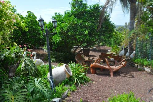a garden with a lamp and a bench and a street light at Shavit Simple room in Arbel