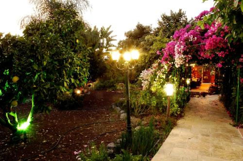 a garden with flowers and a street light at Shavit Simple room in Arbel
