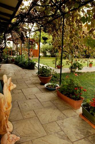 a patio with potted plants and a statue of a rabbit at Shavit Simple room in Arbel