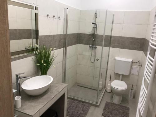 W łazience znajduje się prysznic, umywalka i toaleta. w obiekcie Classic Apartman w Segedynie