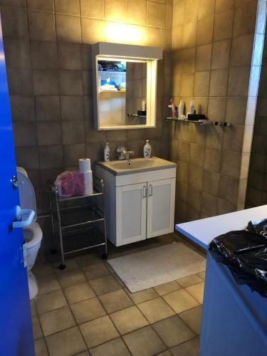 W łazience znajduje się umywalka, lustro i toaleta. w obiekcie isi4u hostel, dogsled, snowmobiling w Sisimiut