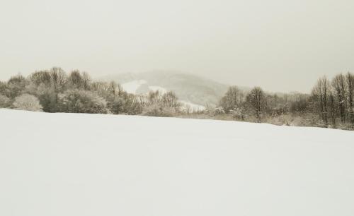 a snow covered field with trees and mountains in the background at Nad Horyłką in Ropienka