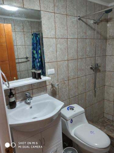 a bathroom with a toilet and a sink and a shower at Hospedaje Puerto Varas in Puerto Varas