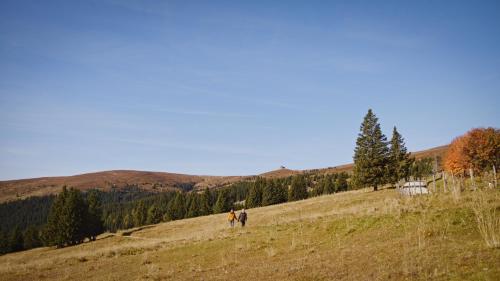 Un paisaje natural cerca de la casa de huéspedes