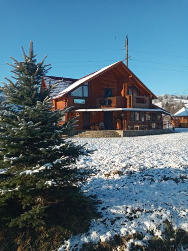 a christmas tree in front of a log cabin at Садиба Карпат in Verkhovyna