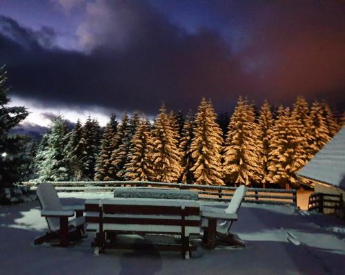 a table and two chairs in front of a snow covered forest at Home Belić Golija in Radaljica