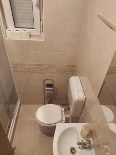 La petite salle de bains est pourvue de toilettes et d'un lavabo. dans l'établissement Apartman Marija Privlaka, à Privlaka