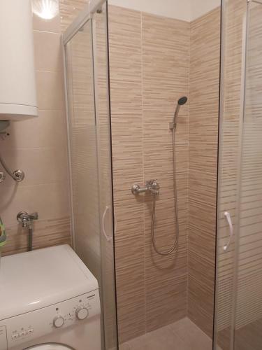 La salle de bains est pourvue d'une cabine de douche et de toilettes. dans l'établissement Apartman Marija Privlaka, à Privlaka