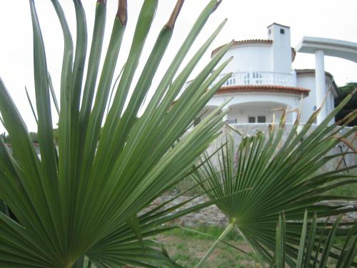 a building with a palm tree in front of it at Villa Sky Music in Obzor