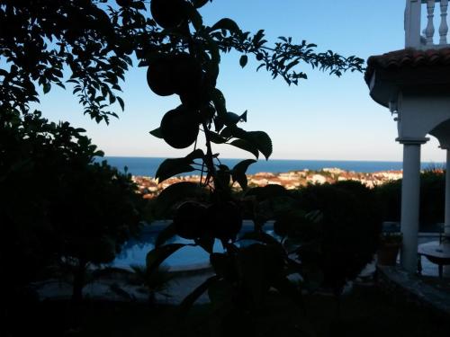 a tree silhouette with a view of the ocean at Villa Sky Music in Obzor