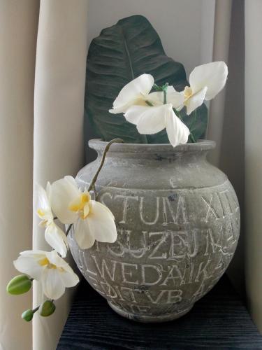 a vase with white flowers in it on a table at Villa Sky Music in Obzor