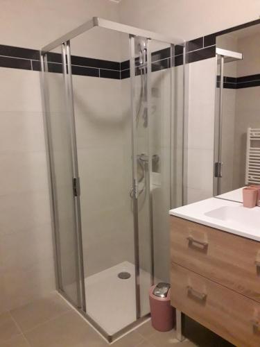 bagno con doccia e lavandino di les campanules a Bourg-Saint-Maurice