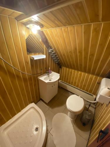 モイエチウ・デ・ジョスにあるCasa ERNSTの小さなバスルーム(トイレ、シンク付)