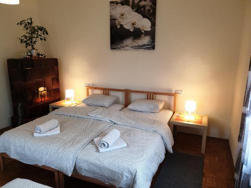 2 camas individuales en una habitación con 2 lámparas en Sašo Rooms & Apartments, en Liubliana