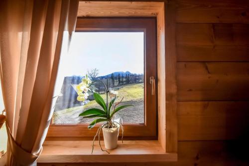 Fotografie z fotogalerie ubytování Domek Górski Zakątek z Jacuzzi v destinaci Nowe Bystre