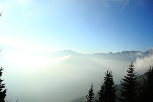 a view of a foggy mountain with trees in the foreground at Appartement Mühle - including Summercard, Sauna, Kaprun's largest private garden with panoramic view in Kaprun