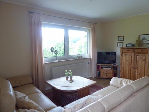 a living room with a couch and a table and a window at Dümpelhof Ferienwohnungen in Olsberg