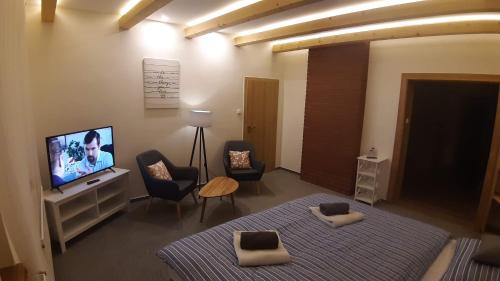 フランチシュコヴィ・ラーズニェにあるThree Apartmentのリビングルーム(ベッド1台、テレビ、椅子付)