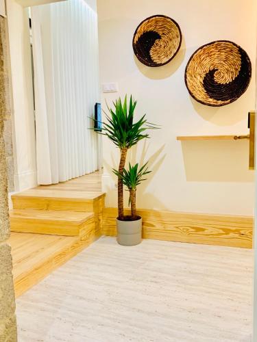 a hallway with two palm trees and baskets on the wall at The Arch - Charming Apartments in the Historic Center in Braga