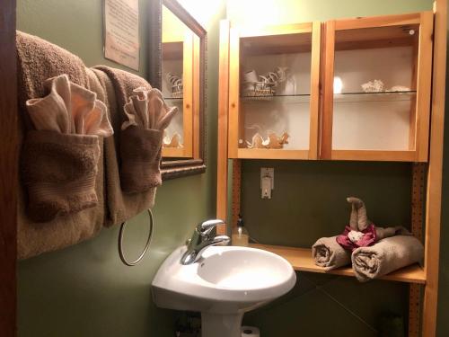 a bathroom with a sink and a mirror and a toilet at Mistiso's Place Vacation Rentals in Nelson
