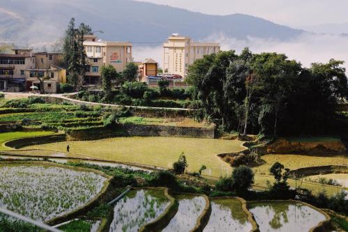 a view of a field with trees and buildings at The Twelve Manor•Terraces Lodge in Yuanyang