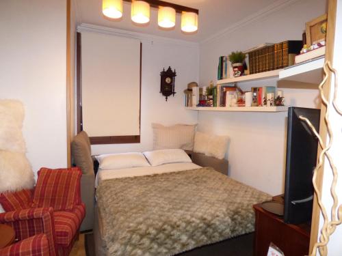 een kleine kamer met een bed en een televisie bij Guggenheim a 15 minutos. BEC a 5 minutos in Barakaldo