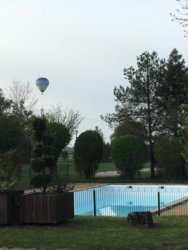 un perro tirado en el césped junto a una piscina en Camping de la Croix d'Arles, en Bourg