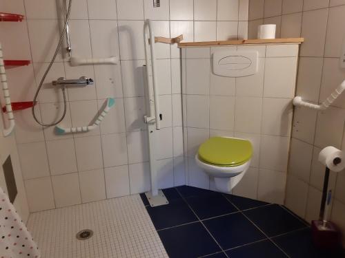 a bathroom with a green toilet and a shower at La ferme du bonheur in Pierrefontaine-les-Varans