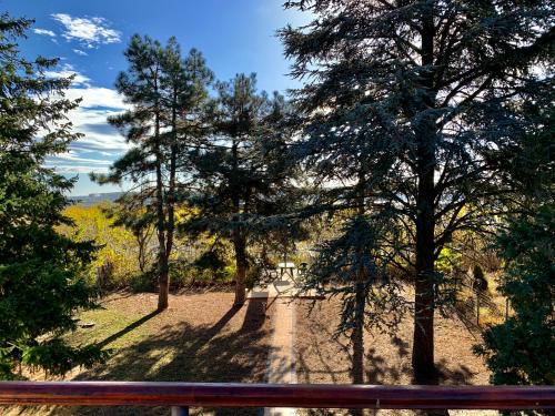 a view of a dirt road through a forest with trees at Belegis Villa in Stari Banovci