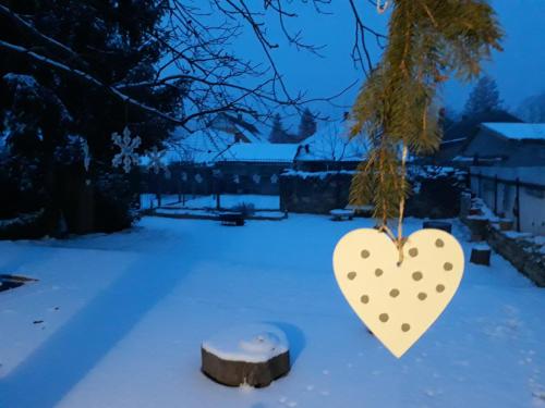 a heart hanging from a tree in the snow at Helló Bogács in Bogács
