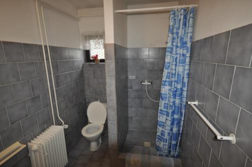 a bathroom with a toilet and a blue shower curtain at Pension Sparta in Prague