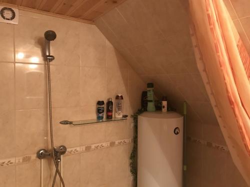 a bathroom with a shower and a refrigerator at Mäe Farm in Rõuge