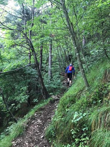 a man walking on a trail in the woods at Residence Gonda&Giuliano in Borso del Grappa
