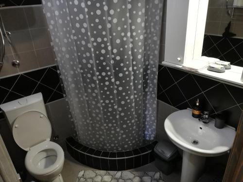 uma casa de banho com uma cortina de chuveiro, um WC e um lavatório. em Apartments Sandra em Kotor