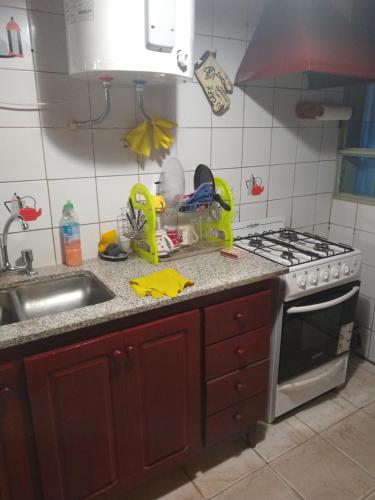 encimera de cocina con fregadero y fogones en chalet de montaña en Barreal