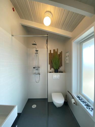 a bathroom with a toilet and a glass shower at Nátthagi Luxury Cottage in Snæfellsbær