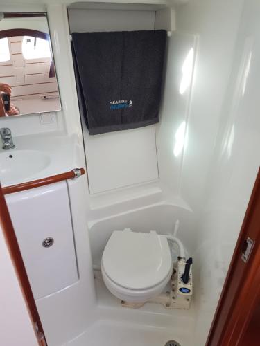 a small bathroom with a toilet and a sink at Centro Ibiza Catamaranes y Velero in Ibiza Town