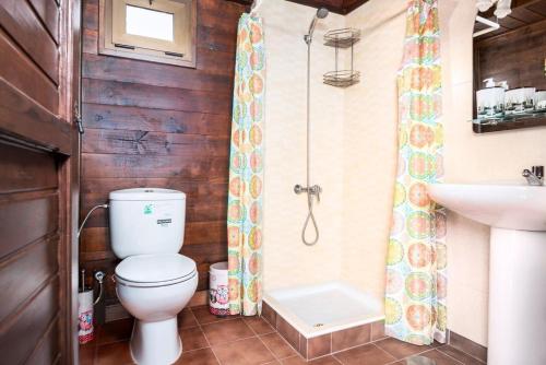 a bathroom with a toilet and a shower and a sink at casa orymar in El Cotillo