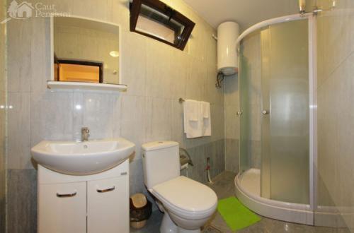 uma casa de banho com um WC, um lavatório e um chuveiro em Pension Camelia em Băile Herculane