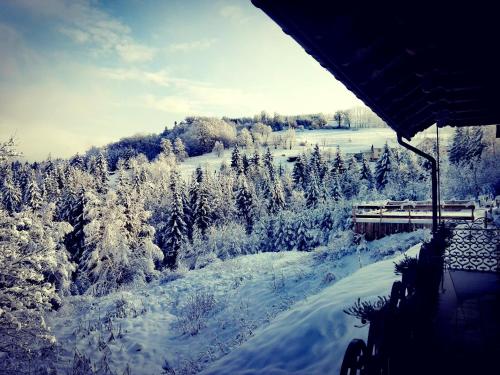 a view of a snow covered forest with a train at Czarna Owca in Istebna