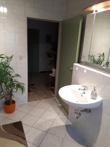 baño con lavabo, espejo y planta en Ferienwohnung Brand, en Creglingen