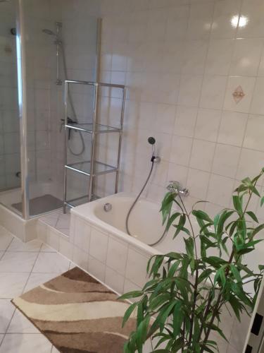baño con bañera, ducha y planta en Ferienwohnung Brand, en Creglingen