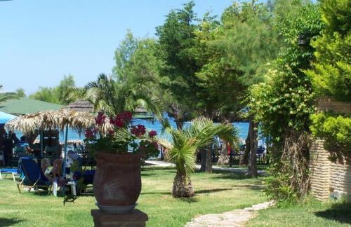 Zahrada ubytování Fiore Beach Studios