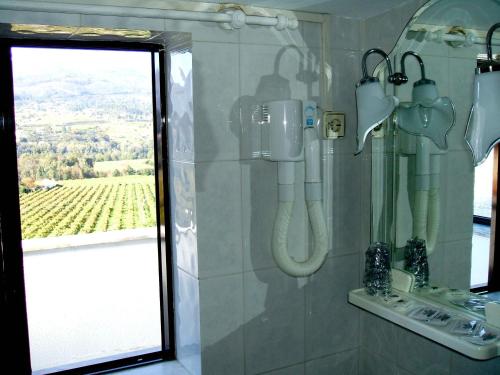 a bathroom with a shower with a view of a vineyard at Hotel Boavista I in Melgaço