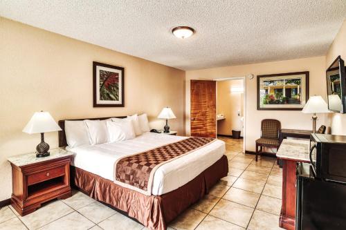 um quarto de hotel com uma cama e uma televisão em Palms Garden Inn em Ellisville